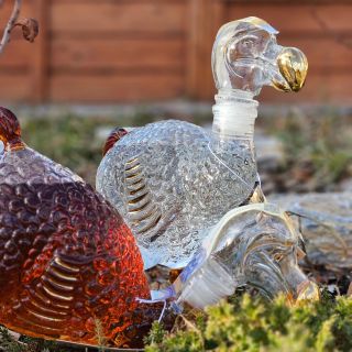 🐥Mauricijský Dodo, známý také jako blboun nejapný, byl bohužel vyhuben... Jeho odkaz ale žije! Vskutku originální lahev ve...